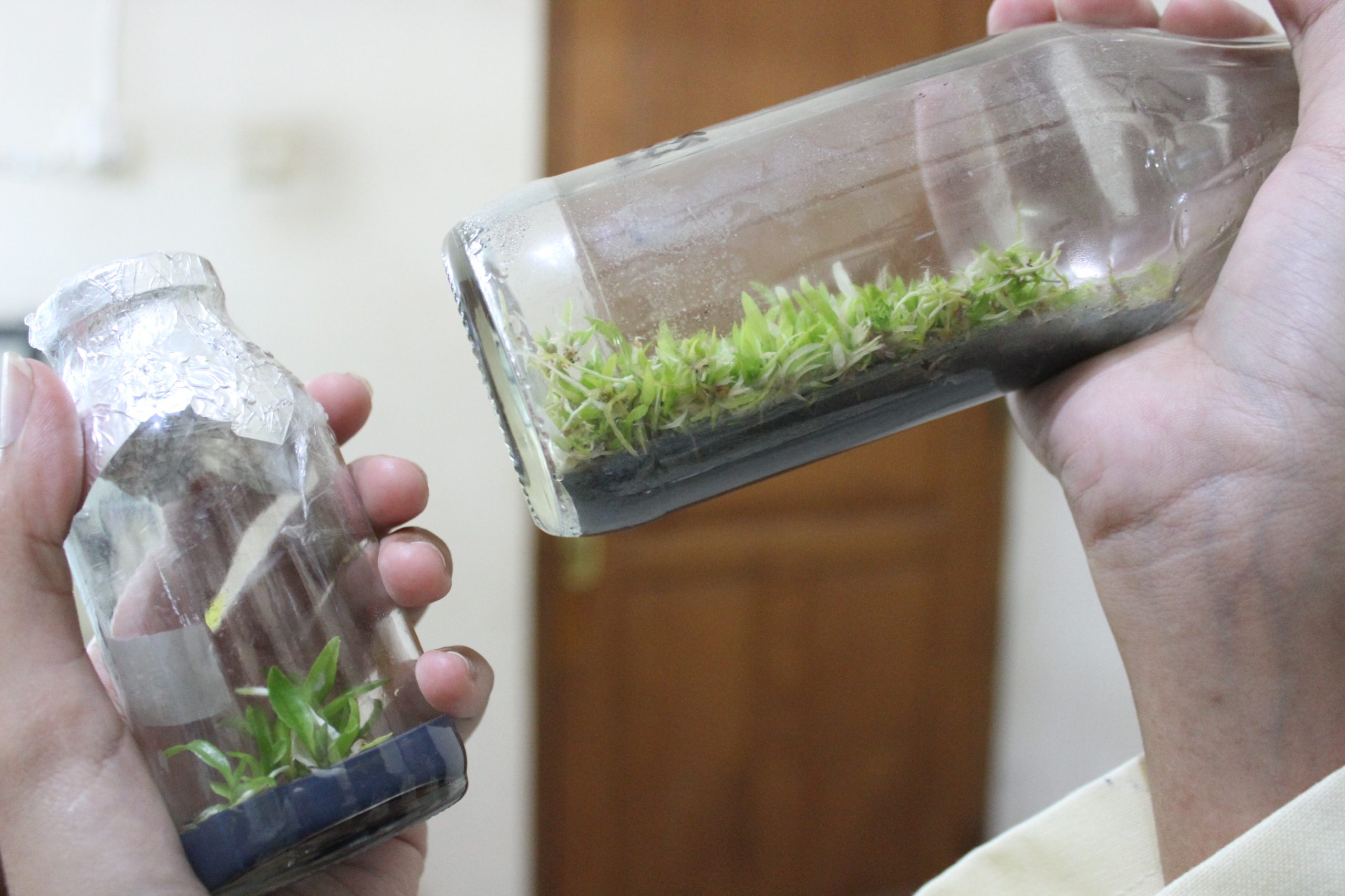 Fakultas Teknobiologi Universitas Atma Jaya Yogyakarta