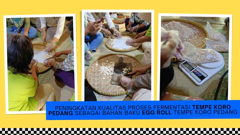 Egg Roll Tempe, Bukan Egg Roll Biasa! 