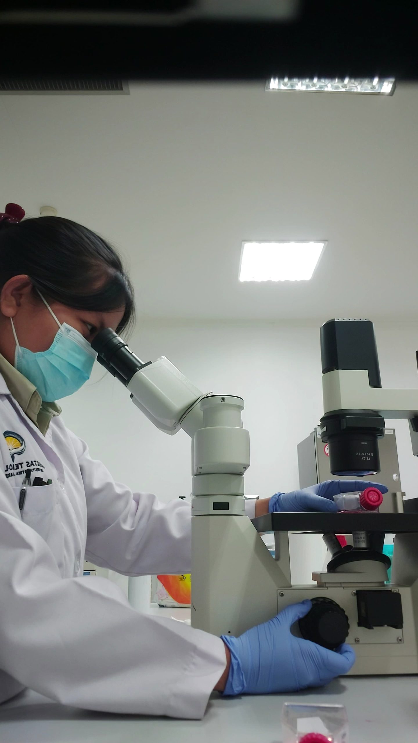 Mahasiswi FTb UAJY Teliti Potensi Maggot sebagai Agen Antikanker terhadap Sel Kanker HeLa